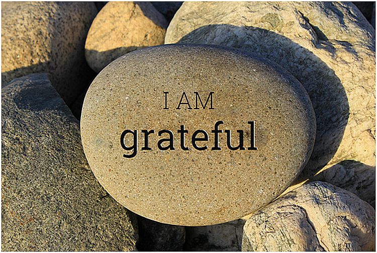 Being grateful makes me feel awesome! - Blue Consulting Private Limited